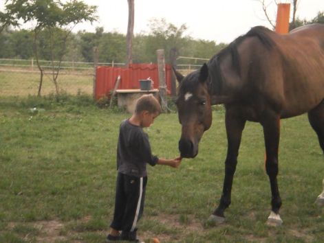 mein_sohn_und_pferd.jpg